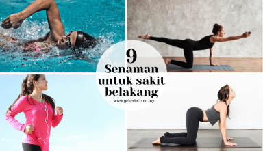 senaman untuk sakit belakang
