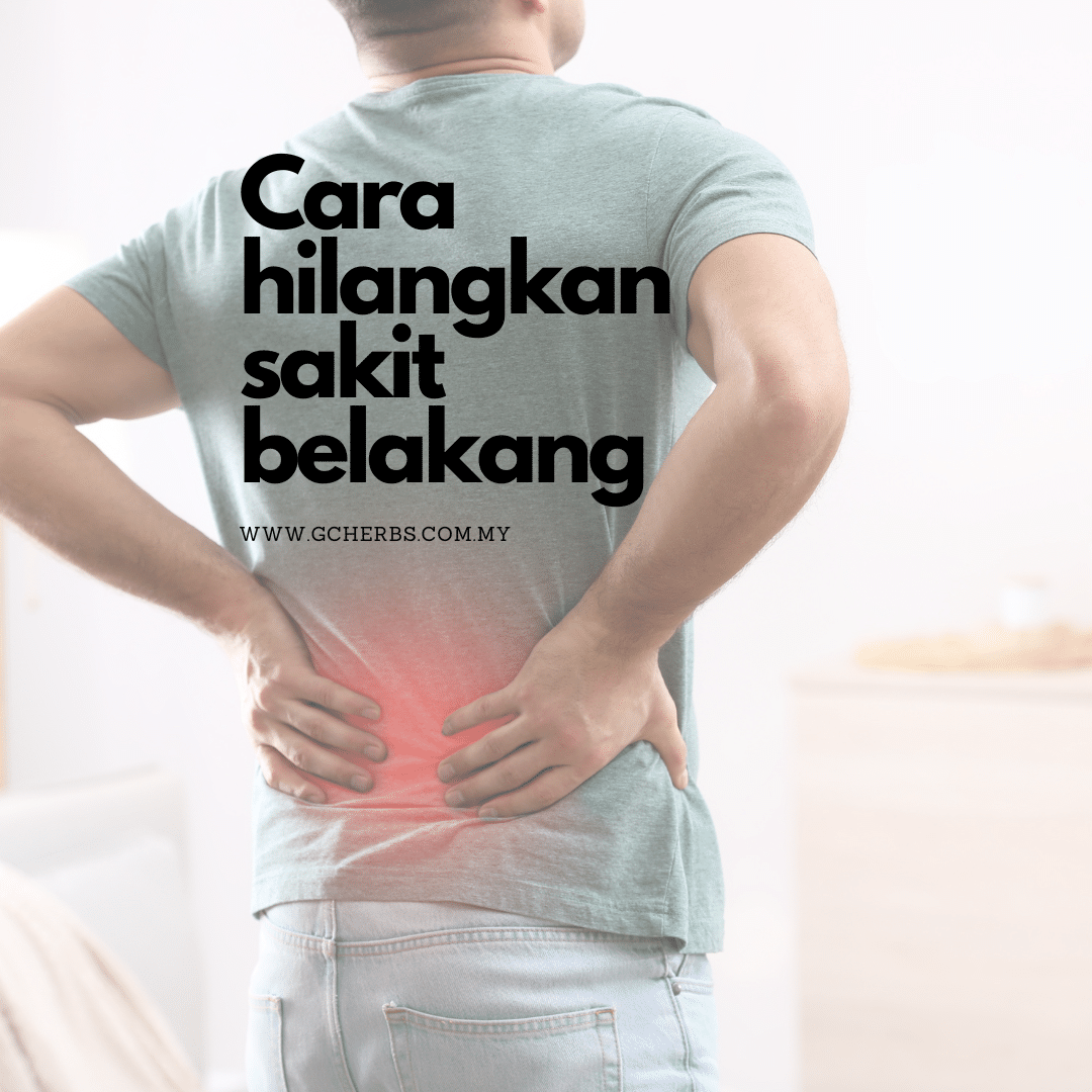 cara hilangkan sakit belakang